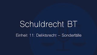 Schuldrecht BT Folge 11 Deliktsrecht – Sonderfälle [upl. by Brandise]