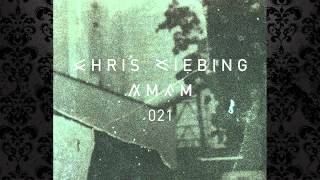 Chris Liebing  AMFM 021 03082015 Live  Awakenings Festival Amsterdam Part 1 [upl. by Larkins]