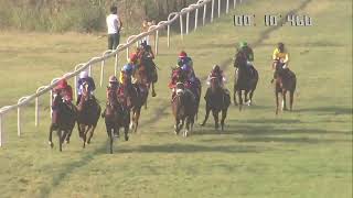 PORTOFINO BAY wins The Gool S Poonawalla Million Gr3 [upl. by Ahsatsan]