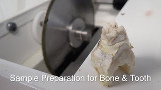 Sample Preparation for Bone and Tooth Thin Section [upl. by Schmeltzer]