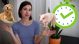 Speciesism Explained in 5 Minutes [upl. by Ail]