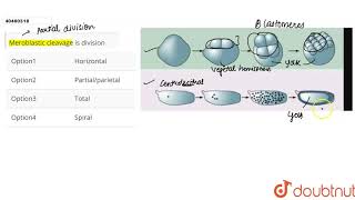 Meroblastic cleavage is division [upl. by Resarf]