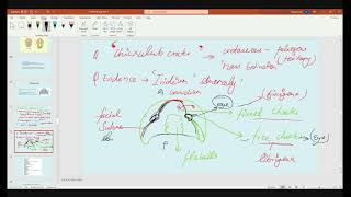 Paleontology Previous year QampA and Numerical class video4 BRAHMASTRA Hinglish [upl. by Marder]