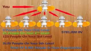 MLM Payplans  Binary vs Unilevel [upl. by Moses]