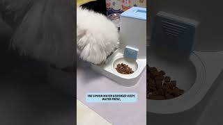 2in1 Automatic Pet Feeder Perfect for Busy Pet Parents [upl. by Oak]