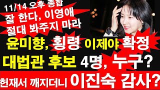 1114 오후 윤미향 횡령 이제야 확정 대법관 후보 4명 누구 민 헌재서 깨지더니 이진숙 감사 잘 한다 이영애 절대 봐주지 마라 레지스탕스TV 정광용TV [upl. by Hayotal]