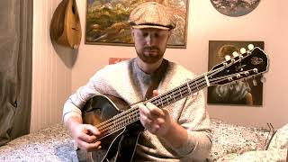 Bracken Fern  Celtic Mandocello Tune [upl. by Iinde481]