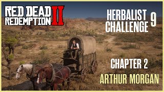 Red Dead Redemption 2  Herbalist Challenge 9 Arthur Morgan Chapter 2 [upl. by Isabel]