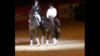 Dressage vs Western [upl. by Annawal477]