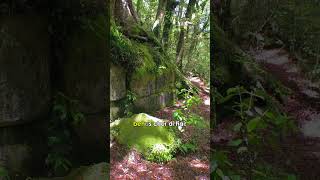 The Mystery of Kaimanawa Wall  New Zealand shorts [upl. by Yrdua]