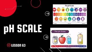 The pH Scale Universal Indicator [upl. by Billye]