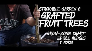 STACKABLE GARDEN GRAFTED FRUIT TREES EDIBLE HEDGES GROWZONE CHART amp MORE [upl. by Eniamsaj404]