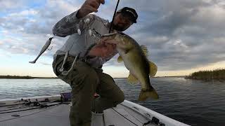 Bass fishing Fellsmere lake  October 2024 [upl. by Kecaj]