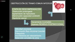 Sd de Uropatía obstructiva  clase 68  sem 13 [upl. by Yellhsa835]