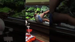 Woman Bathes in Produce at Supermarket  ViralHog [upl. by Iadrahc779]