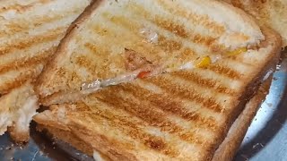 vegetable grilled sandwich [upl. by Tiram]