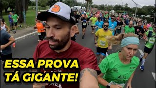 18 mil corredores na Maratona Internacional de São Paulo 2024 [upl. by Larrej]