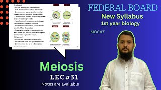 Meiosis  Stage of meiosis  Significance of meiosis  class 11 [upl. by Mcguire]