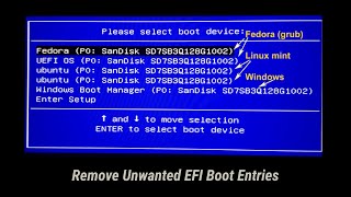 Remove Old EFI Entries from Boot Menu  Without using CMD Commands [upl. by Rusel]