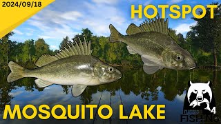 Ruffe Hotspot Mosquito Lake Russian Fishing 4 [upl. by Corabella155]