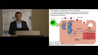 Federico Mingozzi Assessing and modulating immune responses to AAV vectors in humans [upl. by Ayot618]