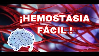 ¡Hemostasia Primaria fácil [upl. by Convery]