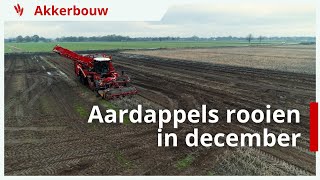 Aardappelen rooien in December uitdagingen voor akkerbouwer Robin Kuper [upl. by Waldner]