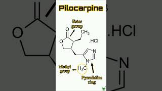 Pilocarpine  Structure  Synthesis  SAR  IUPAC name  pilocarpine medicinalchemistry gpat mrb [upl. by Kathlene]