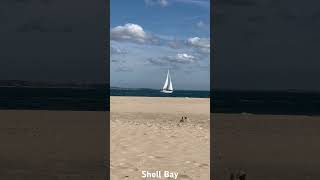 Shell Bay dorset [upl. by Clywd979]