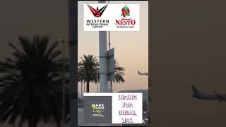 15 August 2024 Nesto Hypermarket job vacancy gulfjobs abroadjobinformation [upl. by Marcia]