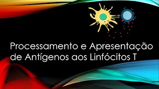 Processamento e Apresentação de Antígenos aos Linfócitos T  Ativação das células T  MHC [upl. by Wade886]