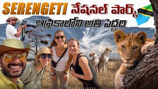 Watch The Incredible Animal Migration of the Serengeti National Park in Tanzania [upl. by Teece]