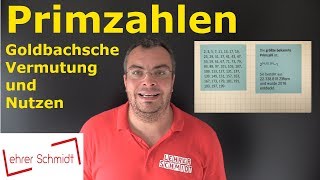 Primzahl  Was ist das  Mathematik  einfach erklärt mit Nerdwissen  Lehrerschmidt [upl. by Neroc]