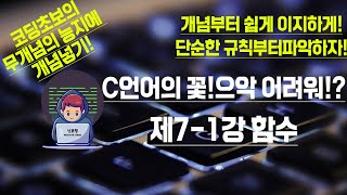 C언어의 꽃 함수 71강 개념부터 쉽게쉽게 이지이지하게 GoGo [upl. by Zaraf]