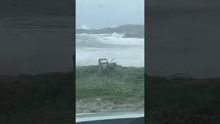 Storm darragh penryn Cemaes Bay Anglesey [upl. by Aerdnak602]