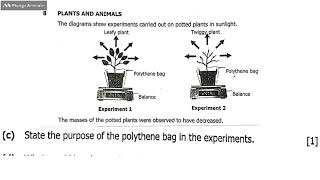 Science 2023 Ext q8c Purpose of polythene bag in a transpiration experiment [upl. by Rufe542]