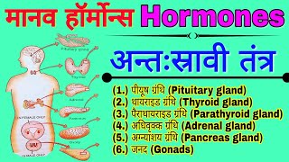 Human Endocrine system  अंतः स्रावी तंत्र  मानव शरीर की ग्रंथियाँ  Human Hormone मानव हार्मोन्स [upl. by Althea]