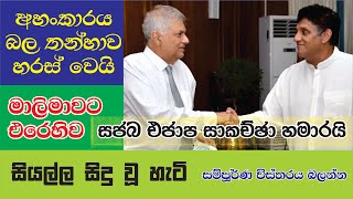 SAJITH PREMADASA AND RANIL WICKRAMASINGHE The alliance falls apart  සජිත් රනිල් සංධානය අවසන් [upl. by Kcerred]