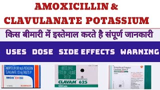 AMOXICILLIN AND CLAVULANATE POTASSIUM TABLET USEDOSESIDE EFFECTSPRECAUTIONS IN HINDIamoxycillin [upl. by Lleryd]