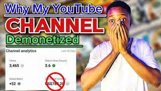 Why I got Demonetized from YouTube [upl. by Eelanej730]