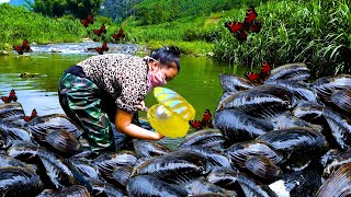 💎💎💎Giant clams growing in clear mountain springs nurturing priceless pearls are very charming [upl. by Kashden]