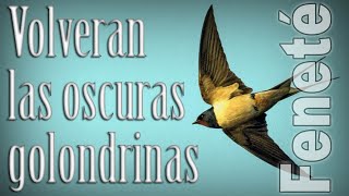 QUIZAS EL MAS BELLO DE LOS POEMAS  VOLVERAN LAS OSCURAS GOLONDRINAS  Recitado por FENETÉ [upl. by Petersen]