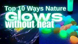 Luminescence 10 Ways Nature Glows [upl. by Gratiana]