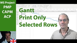 54 MS Project 2019 ● Print Only Selected Rows ● Advanced [upl. by Nygem]