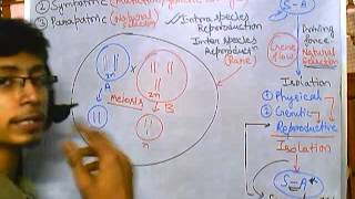 Origin of species Sympatric speciation evolution part 8 speciation 4 [upl. by Patton]