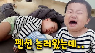 아파서 집에만 갇혀있어요 ㅠㅠ  낚시하러 가는 아빠 보고 자기도 데려가라고 울부짖는 아기  제주 애견팬션 투개더  자연산 대어 잡아서 구워 먹었어요 [upl. by Lenhard404]