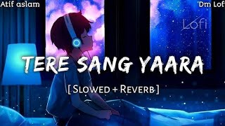 Tere Sang Yaara Lofi Song   slowed amp reverb   Hindi Love song  lofi [upl. by Arnuad]