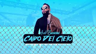 Axel Buenisimo  Caido del Cielo Visualizer  BACHATA [upl. by Aisor906]