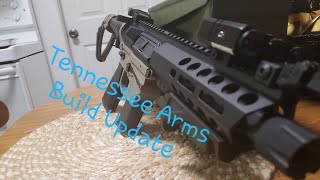 Tennessee Arms 9mm lower Build Update [upl. by Peednas]