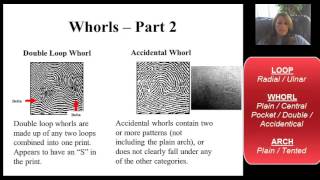 Fingerprint Video Lecture 1903 [upl. by Kira]